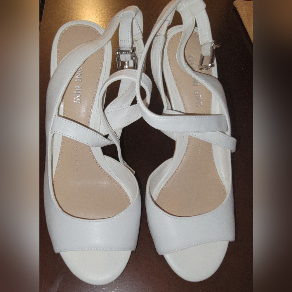 Giani Bernini shoes